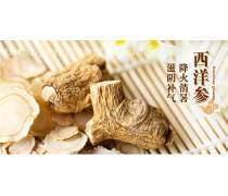 西洋參 滋補(bǔ)養(yǎng)生的天然瑰寶